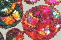 detail from embroidered belt