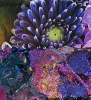 inspiration and resulting fabric